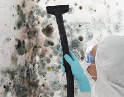 Environmental Consulting for Mold Prevention in Grants Pass, OR